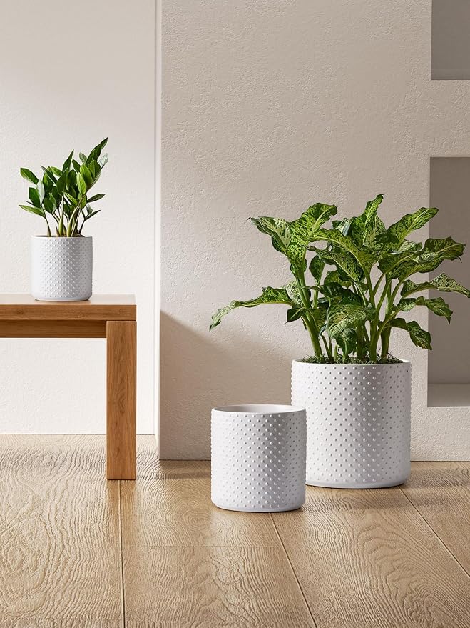 LE TAUCI 10+8+6 Inch Ceramic Pots - Image 7