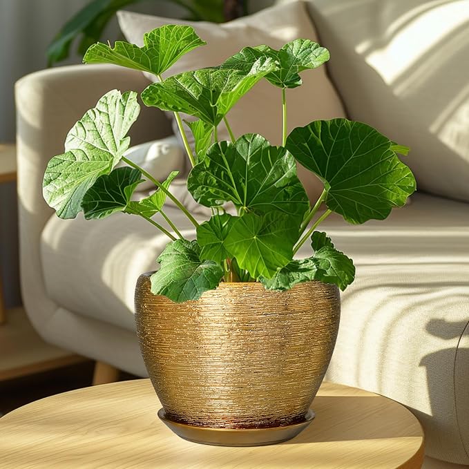 Ceramicfor Ceramic Plant Pot 8 Inch - Image 4