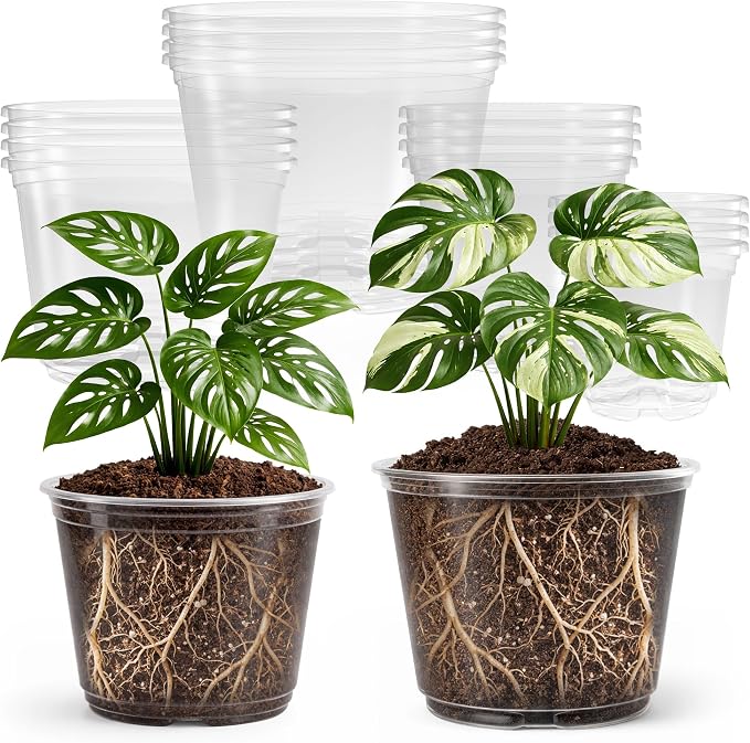 Bluepro Clear Nursery Pots by Bluepro