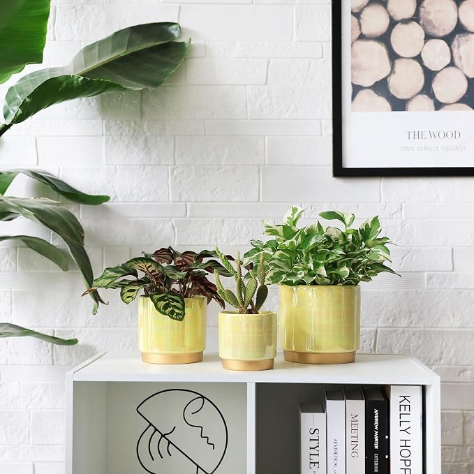 Gepege Ceramic Plant Pots for Indoor Plants, Planters - Image 7
