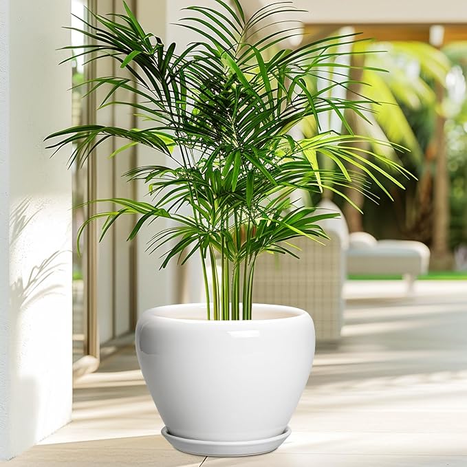 Ceramicfor Ceramic Pot for Plants, 8 Inch Planter, Glossy White | Plant Pot - Image 4