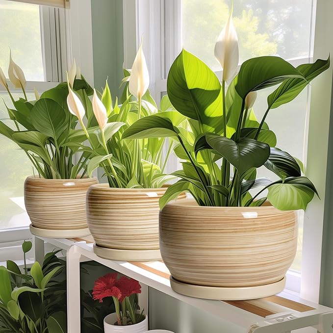 SQOWL Ceramic Plant Pot - Image 6