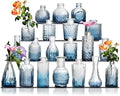 Glass Bud Vase Set of 20 by Ulodimi