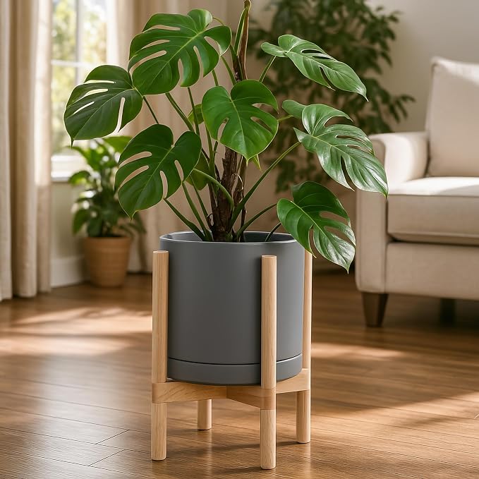 D'vine Dev Ceramic Pot with Natural Wood Stand, 12 in, 55-B-J-3 | Mid-Century - Image 6