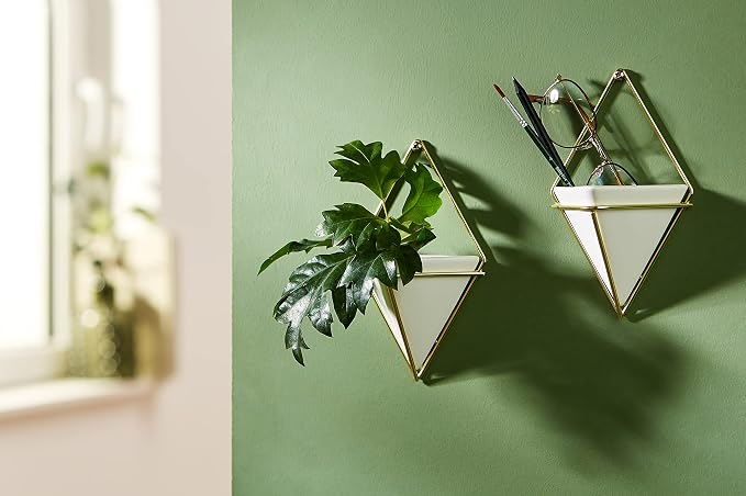Umbra Trigg Hanging Planter for Small Plants - Image 15