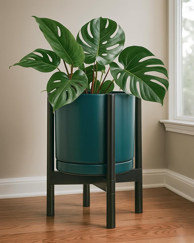 D'vine Dev Ceramic Pot with Ebony Wood Stand, 12 in, 55-B-H-4 | Mid-Century - Image 4