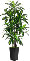 Artificial Dracaena Tree 6FT by ASTIDY