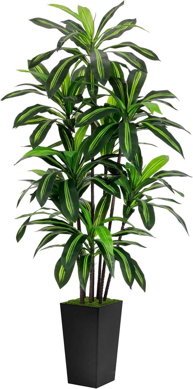 Artificial Dracaena Tree 6FT by ASTIDY