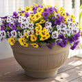 Rowfad 18 Pcs Artificial Fake Pansy Flowers by RowfadFlora