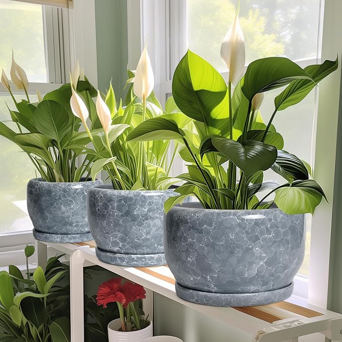 SQOWL 8 inch Plant pots Indoor - Image 6