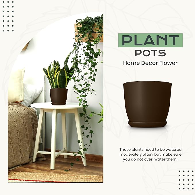 Plant Pots Indoor with Drainage, 10 Pack Multi-Size Planters Set - Image 4