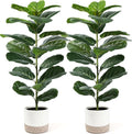 Der Rose 2 Pack 30" Fake Plants, Fiddle Leaf Fig Trees by DerRose