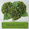 YalzoneMet 3 PCS Vintage Dark Green Hydrangea Artificial Flowers 21 inches Real by YalzoneMet