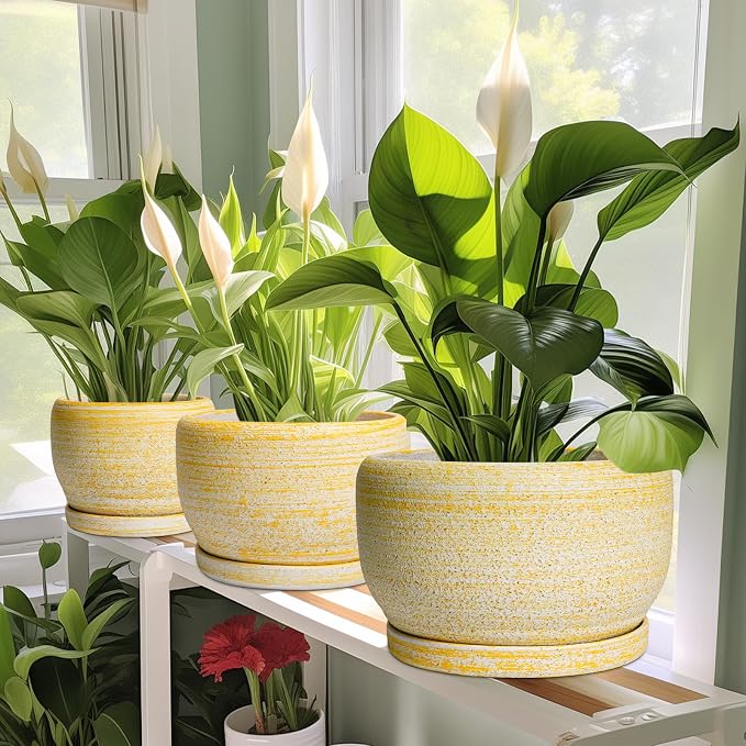 SQOWL Ceramic Planters for Indoor Plants - Image 6