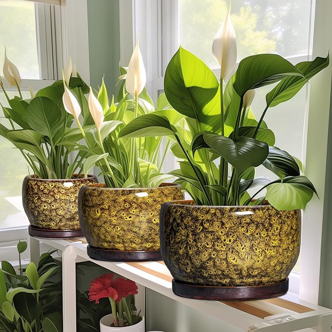 SQOWL Ceramic Flower Pots - Image 6