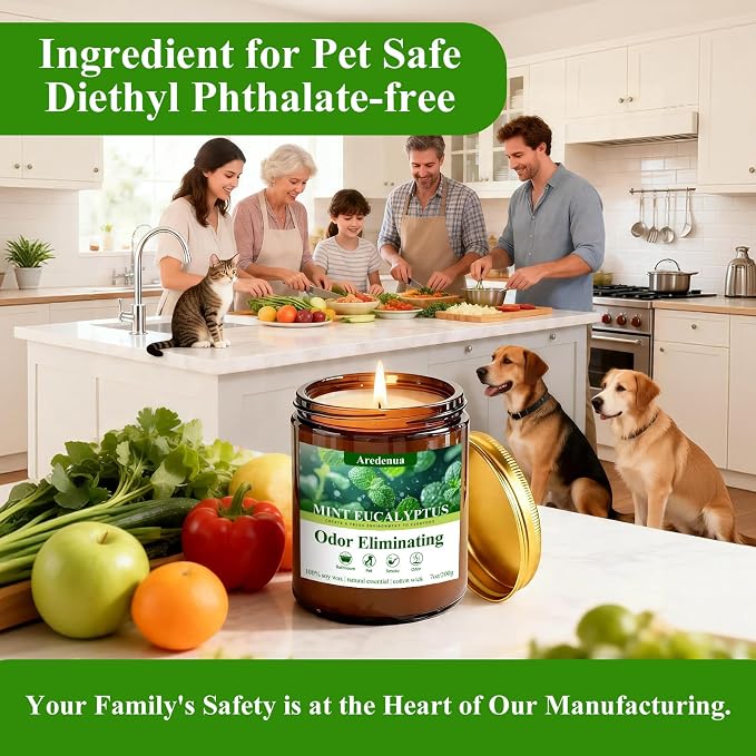 Mint Eucalyptus Odor Eliminating Candles, 7 oz Soy Scented Candle | Eliminates - Image 2