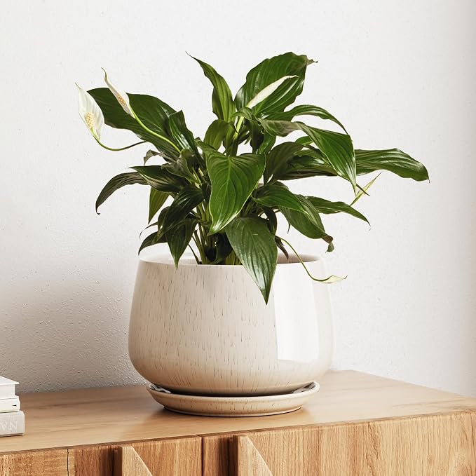 LE TAUCI Ceramic Planter, 10 Inch Plant Pot by LETAUCI
