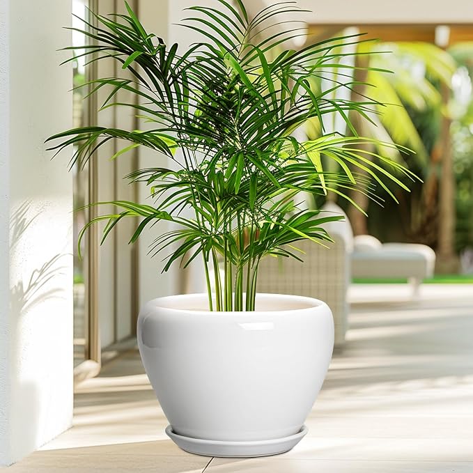 Ceramicfor Ceramic Pot for Plants - Image 4