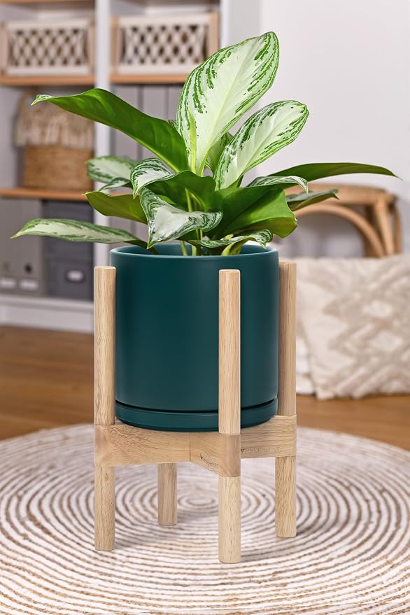 D'vine Dev Ceramic Pot with Natural Wood Stand, 8 in, 55-B-N-4 | Mid-Century - Image 6