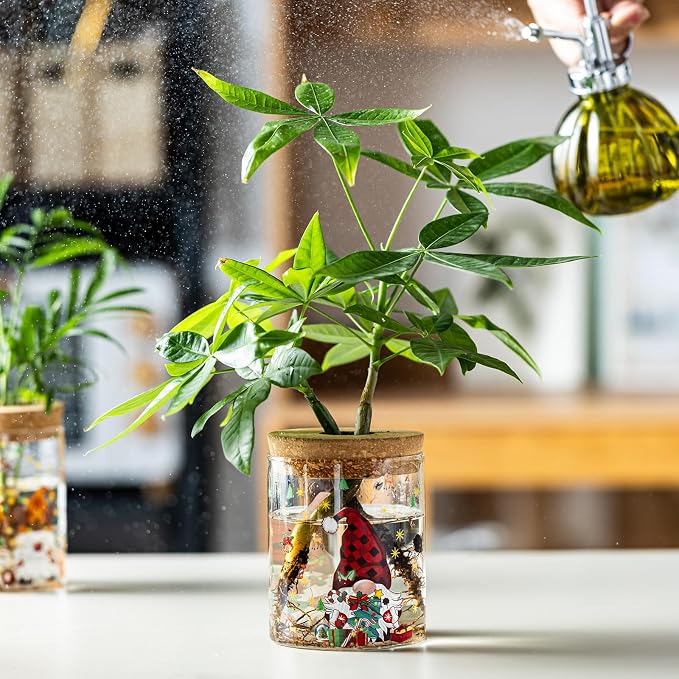Christmas Vase, Christmas Themed Propagation Stations, Glass Propagation Vases - Image 8