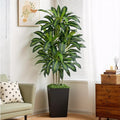 6FT Artificial Dracaena Tree by Keeplush
