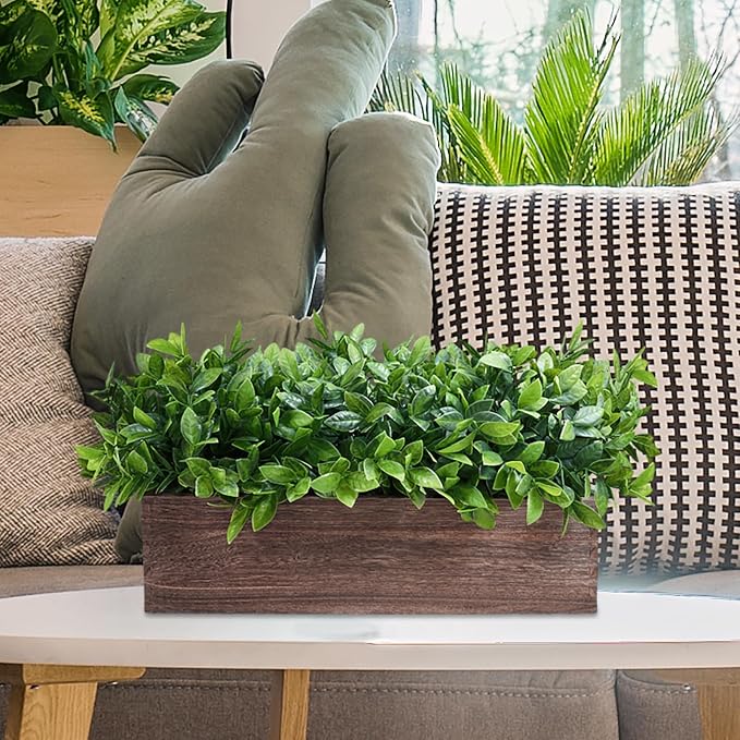 Winlyn 14" Artificial Boxwood Plants in Rectangular Wood Planter Farmhouse - Image 6
