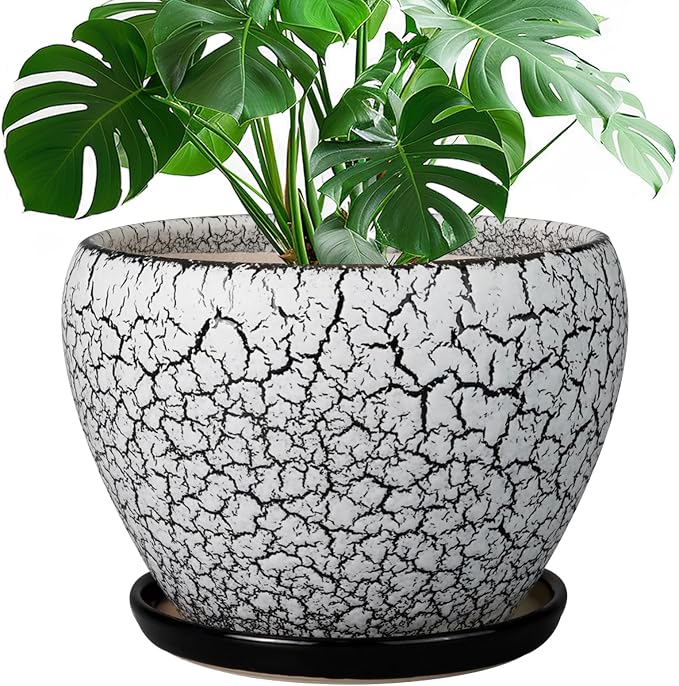 Ceramicfor Ceramic Planters for Indoor Plants by Ceramicfor