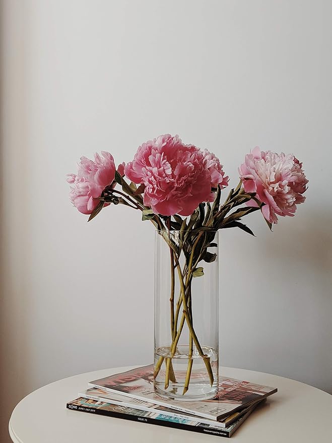 WGVI Quality Thick Weighted Clear Cylinder Glass Vases, Flower Arrangement - Image 7
