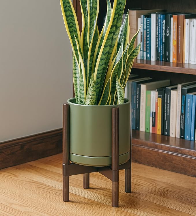 D'vine Dev Ceramic Pot with Walnut Wood Stand, 10 in, 55-B-X-J | Mid-Century - Image 6