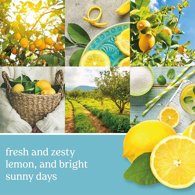 Yankee Candle Sicilian Lemon Scented Classic 22oz Large Jar Single Wick Candle - Image 2