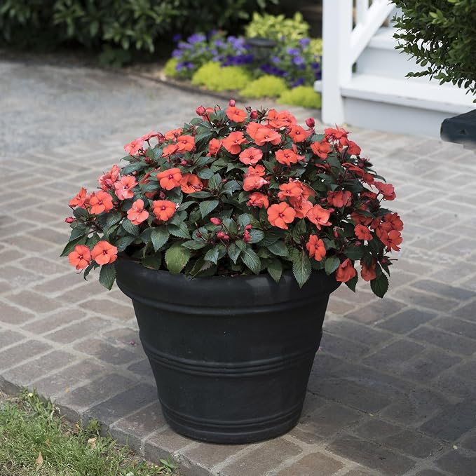 Crescent Garden Brunello Small Classic Black Planter, Indoor/Outdoor - Image 6