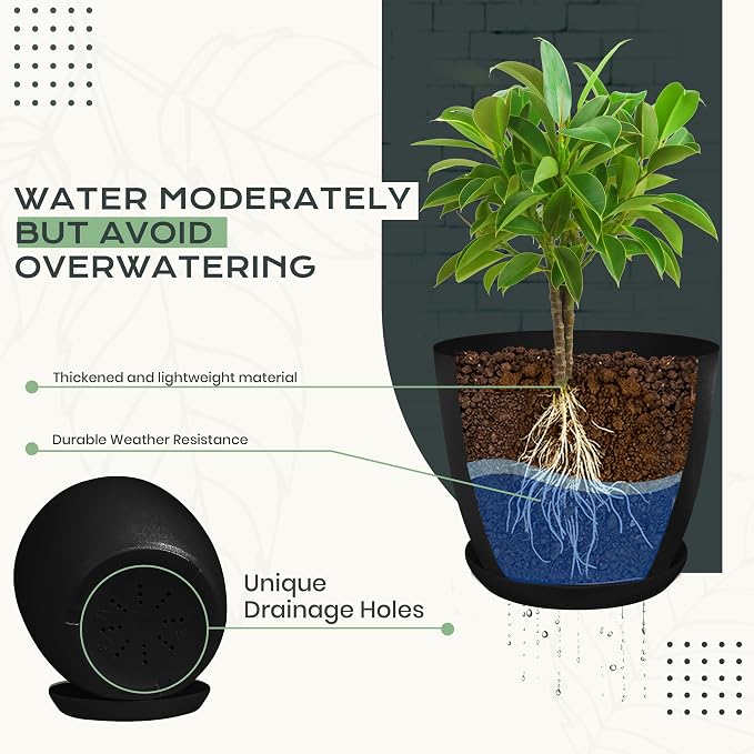 Plant Pots Indoor with Drainage, 10 Pack Multi-Size Planters Set - Image 3