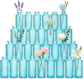 Glass Bud Vases 30 Pack, Small Blue Flower Vases by Mapoxy