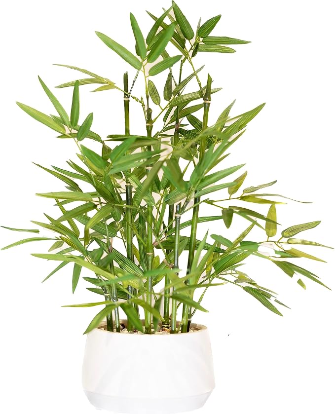 365 Blooming Decor 18 inch Tall White Potted Artificial Bamboo Plant- Luxury by 365BLOOMINGDECORINC
