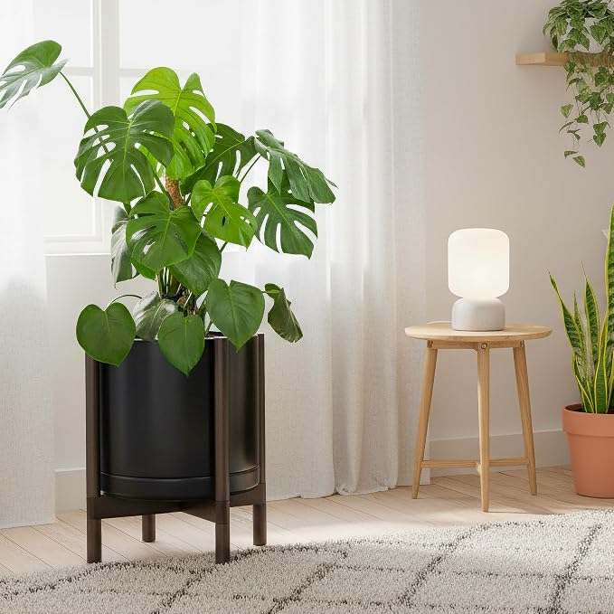 D'vine Dev Ceramic Pot with Walnut Wood Stand, 14 in, 55-B-T-2 | Mid-Century - Image 6