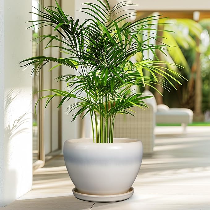 Ceramicfor 10 Inch Ceramic Planter Pot, Cream White | Large Plant Pot - Image 6