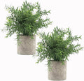 Velener 2Pcs Artificial Potted Rosemary Plants- Rustic Farmhouse Fake Shrubs by Velener