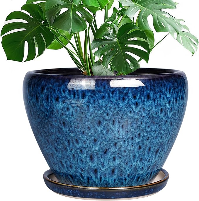 Ceramicfor 10 Inch Ceramic Planter Pot, Ceramic Plant Pot by Ceramicfor