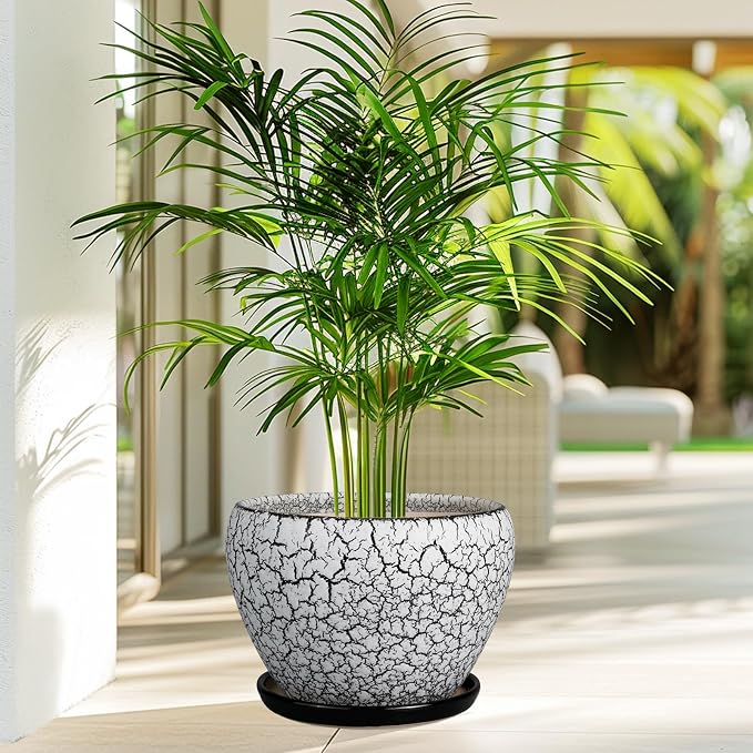Ceramicfor Ceramic Planters for Indoor Plants - Image 5