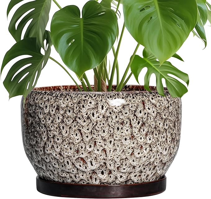 SQOWL Ceramic Plant Pots by SQOWL