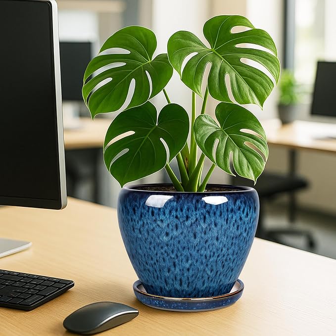 Deep Dream 8 Inch Plant Pots- Ceramic Pots - Image 4
