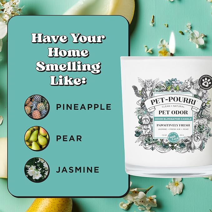 Pet-Pourri Pawsitively Fresh Pet Odor Deodorizer Candle, Burns Up to 45 Hours - Image 9