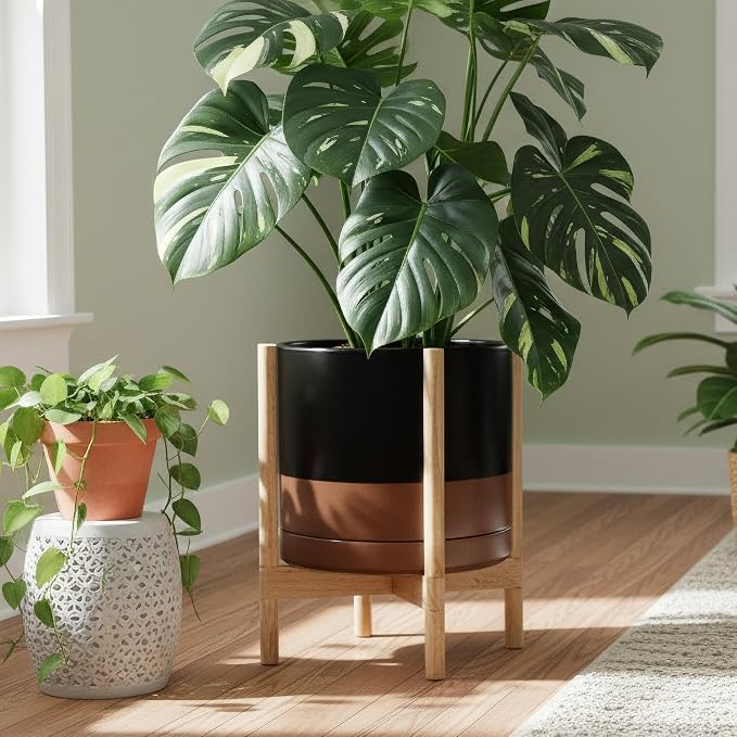 D'vine Dev Ceramic Pot with Natural Wood Stand, 14 in, 55-B-R-7 | Mid-Century - Image 2