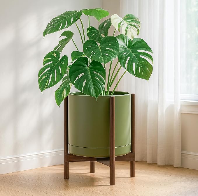 D'vine Dev Ceramic Pot with Walnut Wood Stand, 14 in, 55-B-T-J | Mid-Century - Image 2