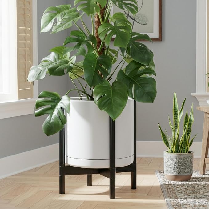 D'vine Dev Ceramic Pot with Ebony Wood Stand, 14 in, 55-B-S-1 | Mid-Century - Image 2