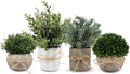 4 Pack Small Fake Plants in White Pulp Pot by Decorateyouridealhomewithease