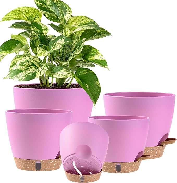 Self Watering Pots for Inoor Ourdoor Plants 8/7/6.5/6/5 Inch, 5 Pack | Plastic by Fielda