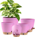 Self Watering Pots for Inoor Ourdoor Plants 8/7/6.5/6/5 Inch, 5 Pack | Plastic by Fielda