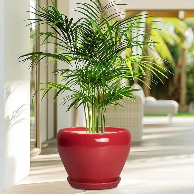 Ceramicfor Ceramic Planter for Indoor Plants 8 Inch - Image 4