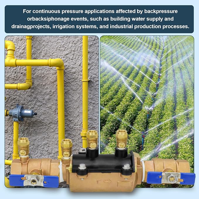 1-350 Double Check Backflow Preventer, Double Check Valve Assembly | 1" - Image 2